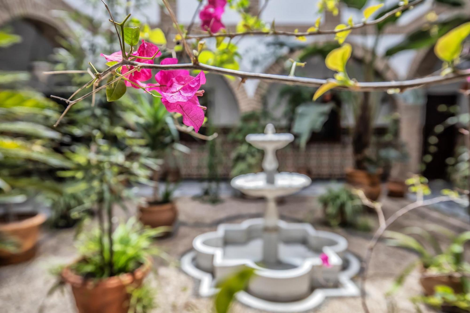 Apartament Casa Con Patio Maria Auxiliadora Kordoba Zewnętrze zdjęcie